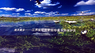 科视应用于国内首个“碗形CAVE”——盐城智慧城市展厅项目