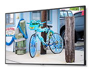 拥抱智能时代 NEC C系列新品全面来袭